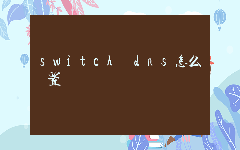 switch dns怎么設置插圖